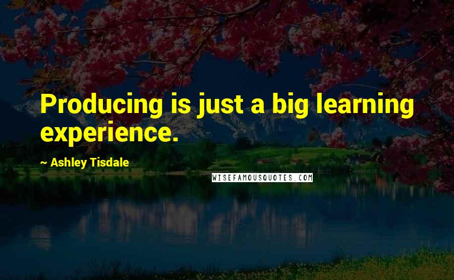 Ashley Tisdale Quotes: Producing is just a big learning experience.