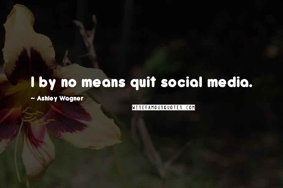 Ashley Wagner Quotes: I by no means quit social media.