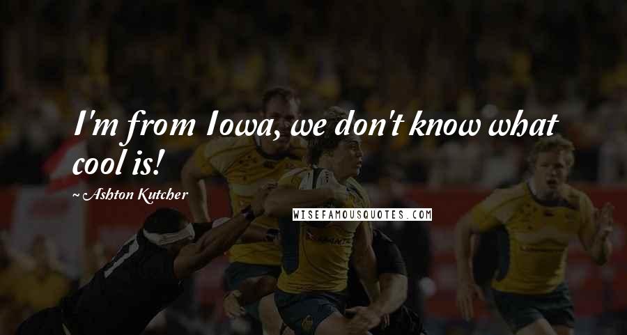 Ashton Kutcher Quotes: I'm from Iowa, we don't know what cool is!