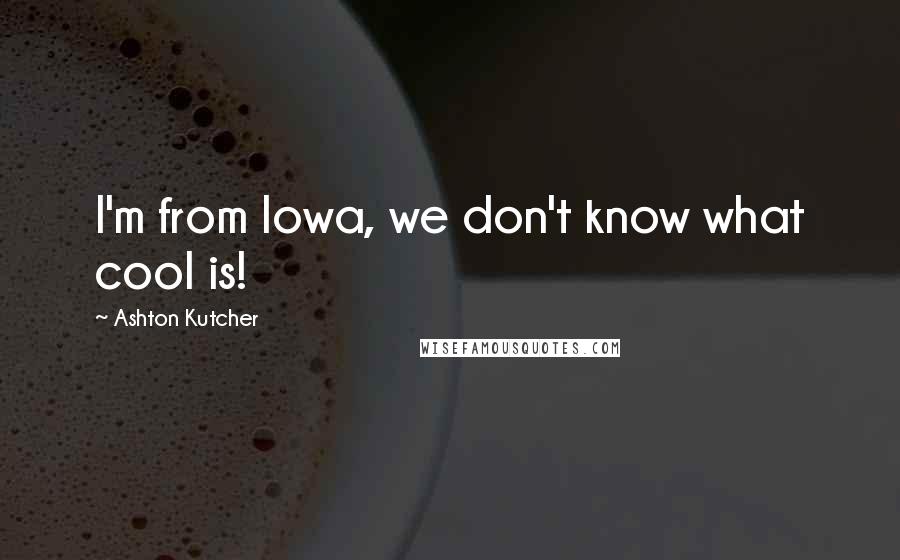 Ashton Kutcher Quotes: I'm from Iowa, we don't know what cool is!