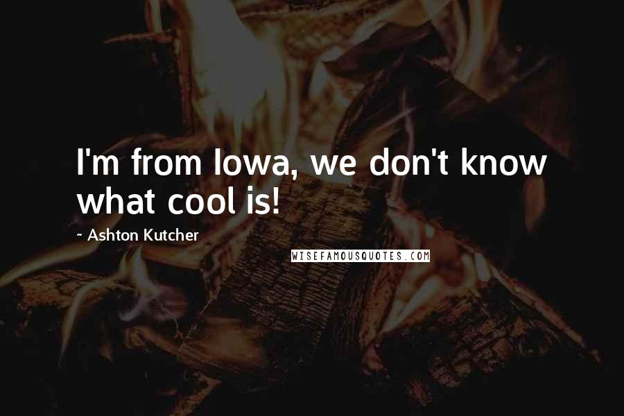 Ashton Kutcher Quotes: I'm from Iowa, we don't know what cool is!