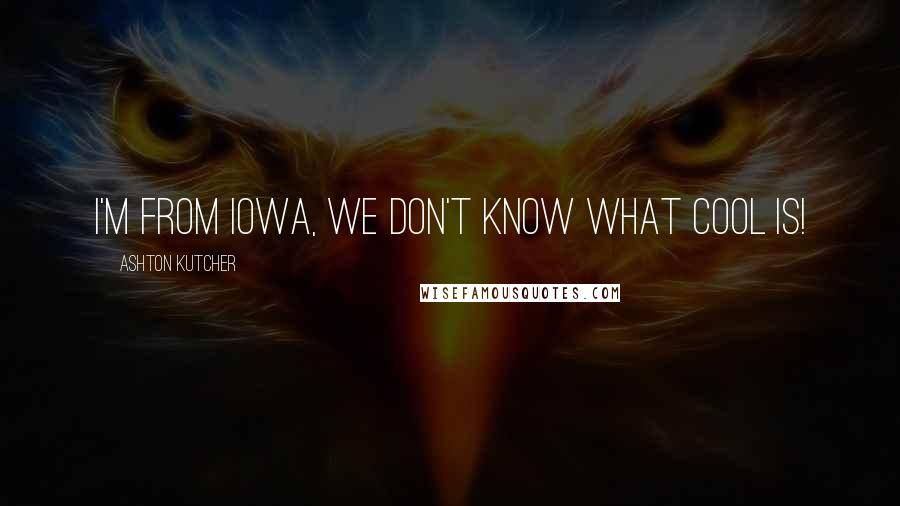 Ashton Kutcher Quotes: I'm from Iowa, we don't know what cool is!