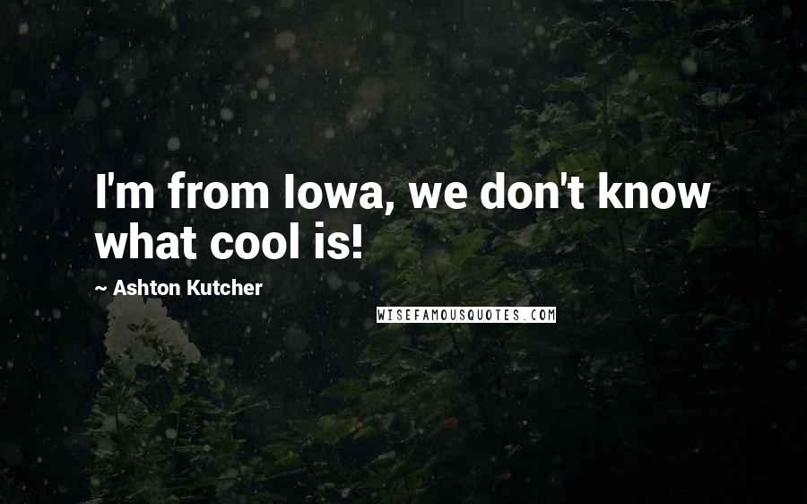 Ashton Kutcher Quotes: I'm from Iowa, we don't know what cool is!