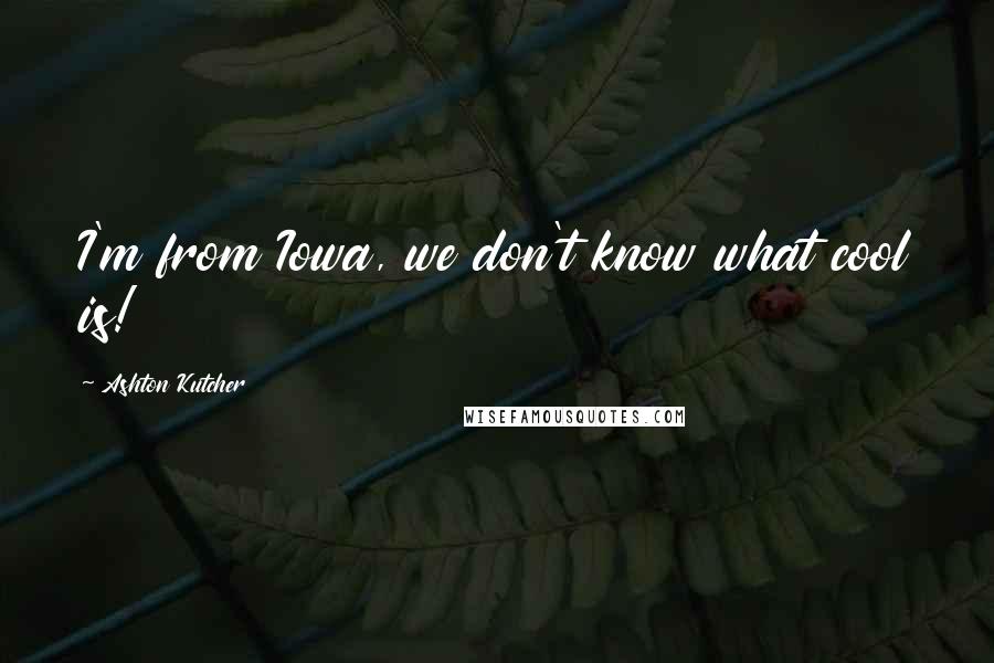 Ashton Kutcher Quotes: I'm from Iowa, we don't know what cool is!