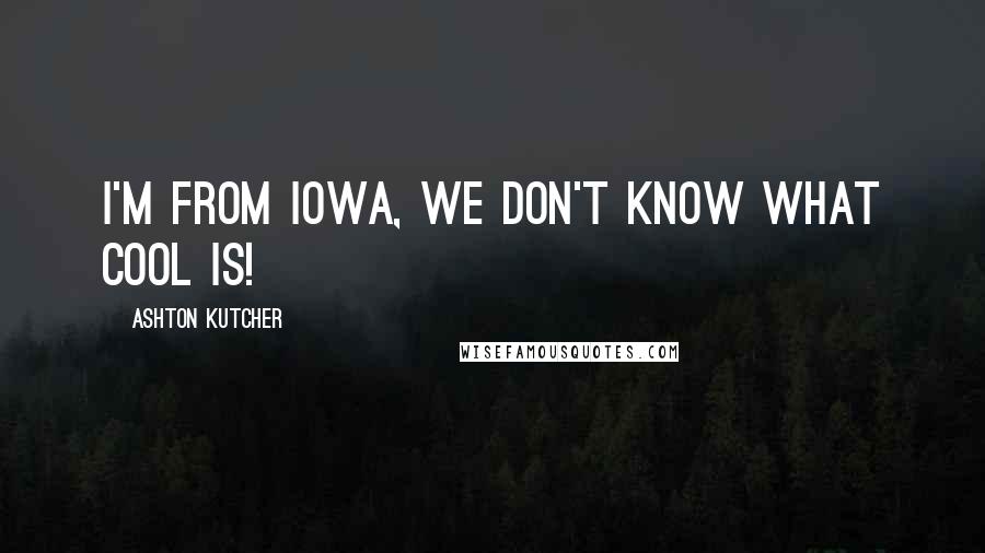 Ashton Kutcher Quotes: I'm from Iowa, we don't know what cool is!