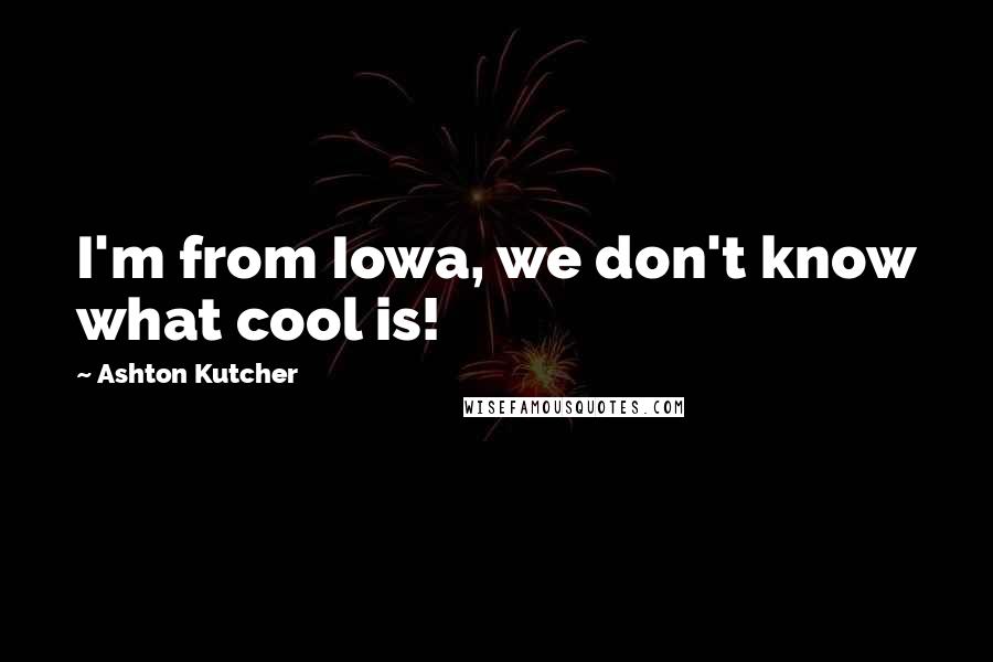 Ashton Kutcher Quotes: I'm from Iowa, we don't know what cool is!