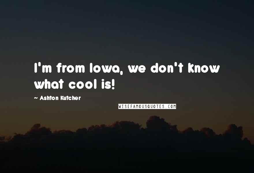 Ashton Kutcher Quotes: I'm from Iowa, we don't know what cool is!