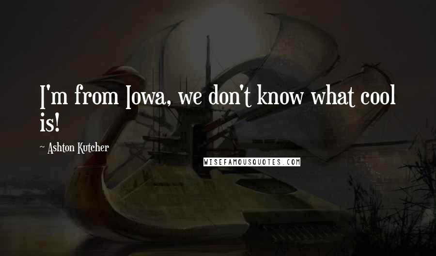 Ashton Kutcher Quotes: I'm from Iowa, we don't know what cool is!