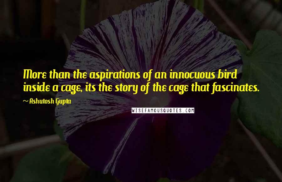 Ashutosh Gupta Quotes: More than the aspirations of an innocuous bird inside a cage, its the story of the cage that fascinates.
