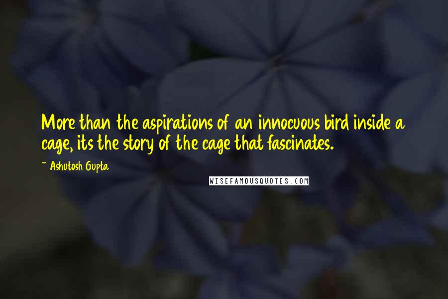 Ashutosh Gupta Quotes: More than the aspirations of an innocuous bird inside a cage, its the story of the cage that fascinates.