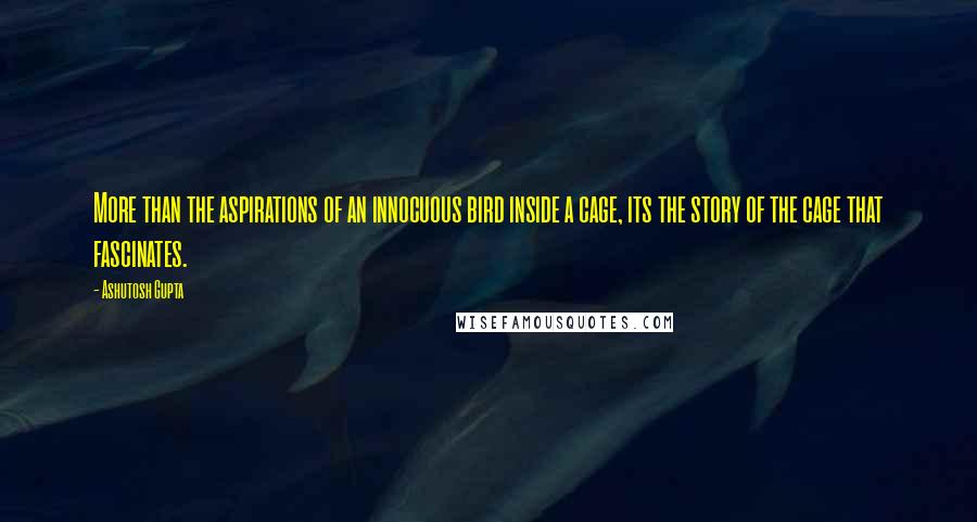 Ashutosh Gupta Quotes: More than the aspirations of an innocuous bird inside a cage, its the story of the cage that fascinates.