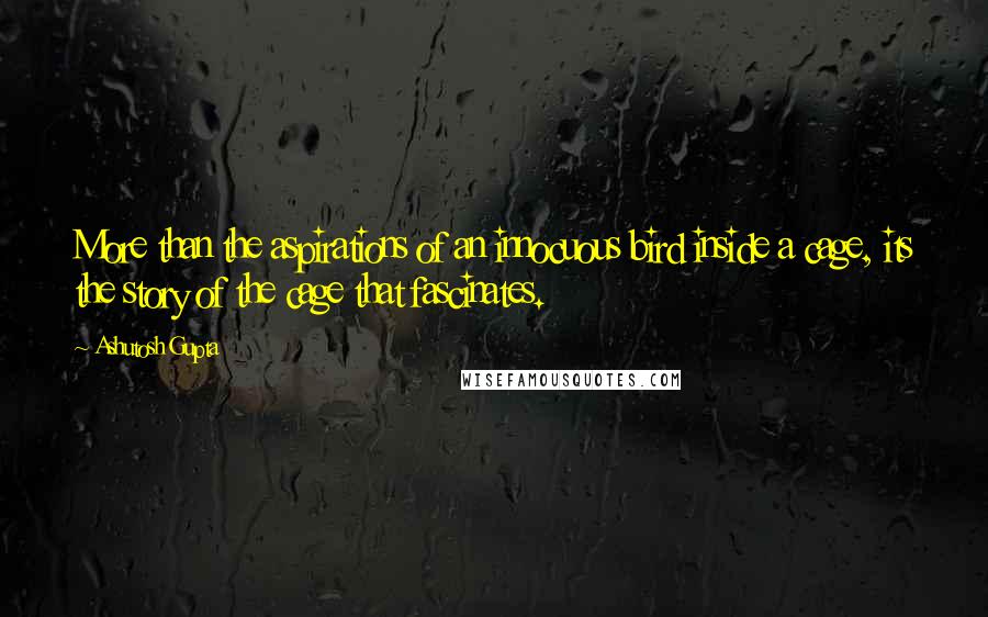 Ashutosh Gupta Quotes: More than the aspirations of an innocuous bird inside a cage, its the story of the cage that fascinates.