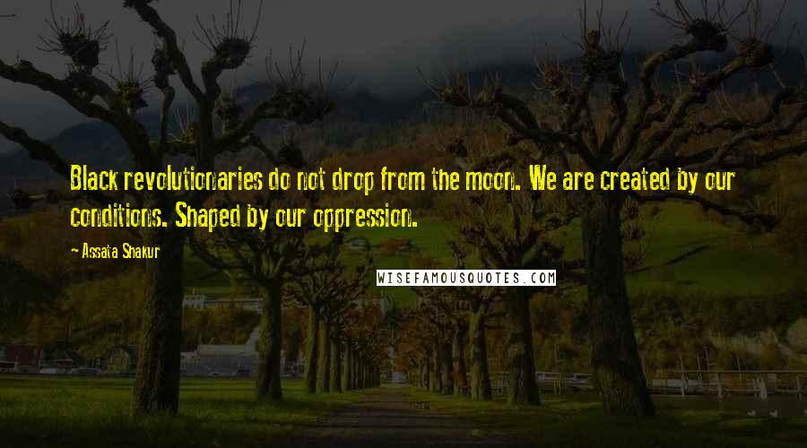 Assata Shakur Quotes: Black revolutionaries do not drop from the moon. We are created by our conditions. Shaped by our oppression.