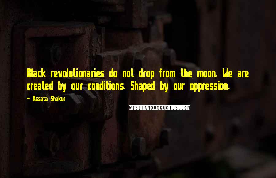 Assata Shakur Quotes: Black revolutionaries do not drop from the moon. We are created by our conditions. Shaped by our oppression.