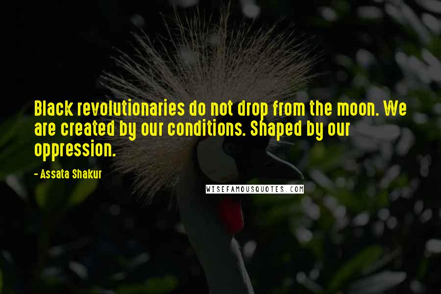 Assata Shakur Quotes: Black revolutionaries do not drop from the moon. We are created by our conditions. Shaped by our oppression.