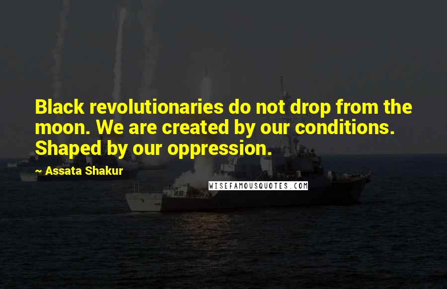 Assata Shakur Quotes: Black revolutionaries do not drop from the moon. We are created by our conditions. Shaped by our oppression.