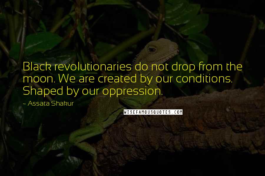 Assata Shakur Quotes: Black revolutionaries do not drop from the moon. We are created by our conditions. Shaped by our oppression.