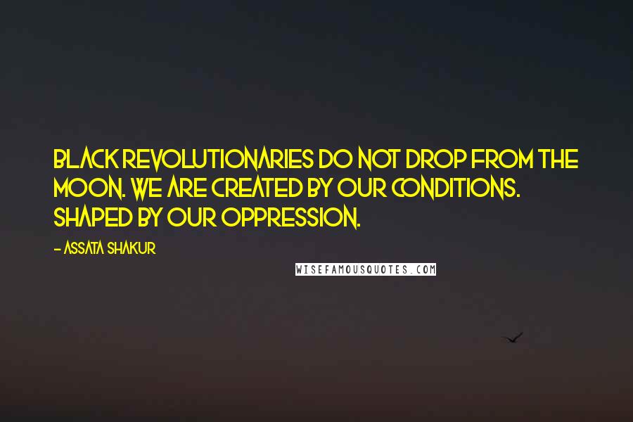 Assata Shakur Quotes: Black revolutionaries do not drop from the moon. We are created by our conditions. Shaped by our oppression.