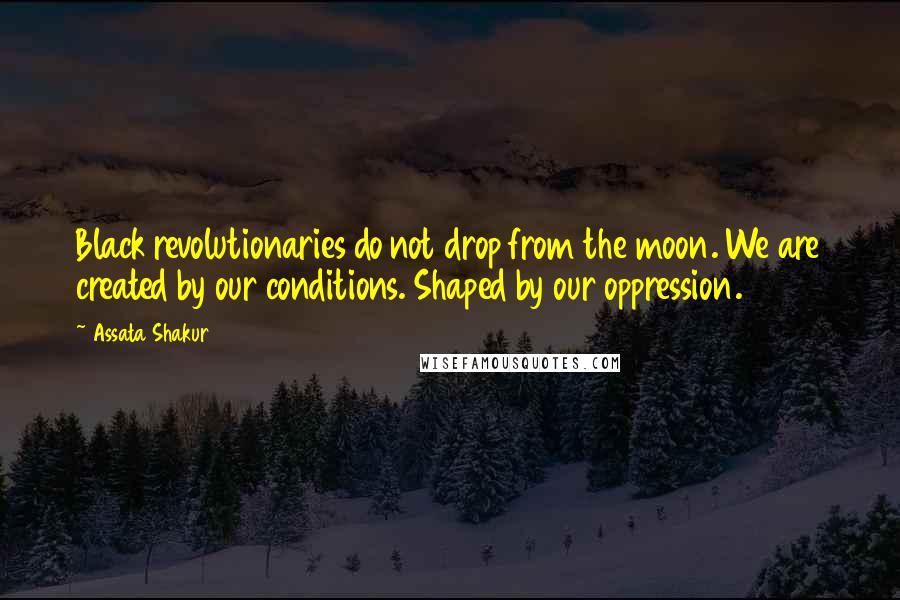 Assata Shakur Quotes: Black revolutionaries do not drop from the moon. We are created by our conditions. Shaped by our oppression.