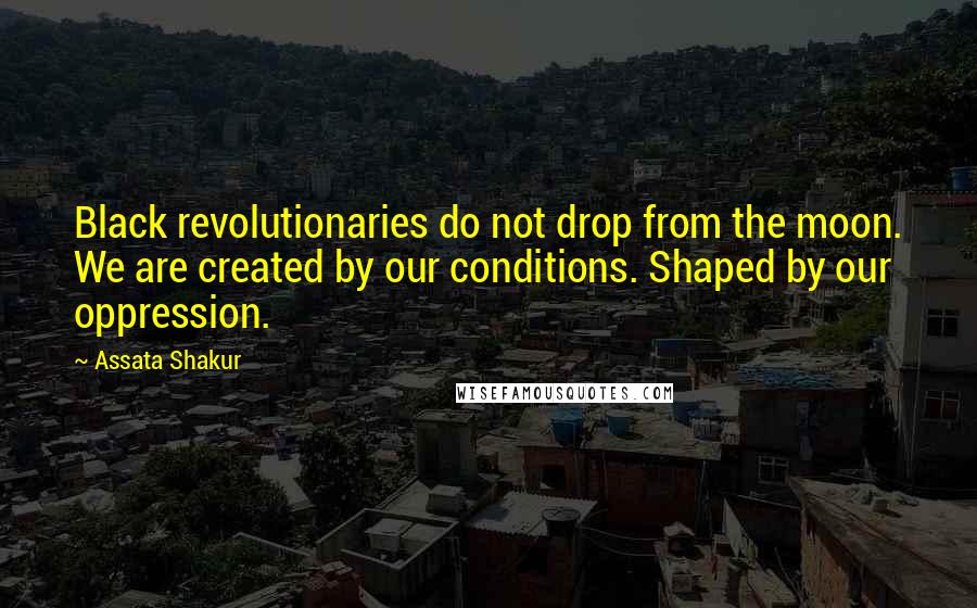 Assata Shakur Quotes: Black revolutionaries do not drop from the moon. We are created by our conditions. Shaped by our oppression.