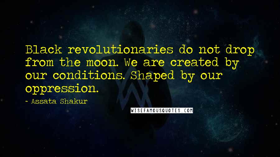 Assata Shakur Quotes: Black revolutionaries do not drop from the moon. We are created by our conditions. Shaped by our oppression.