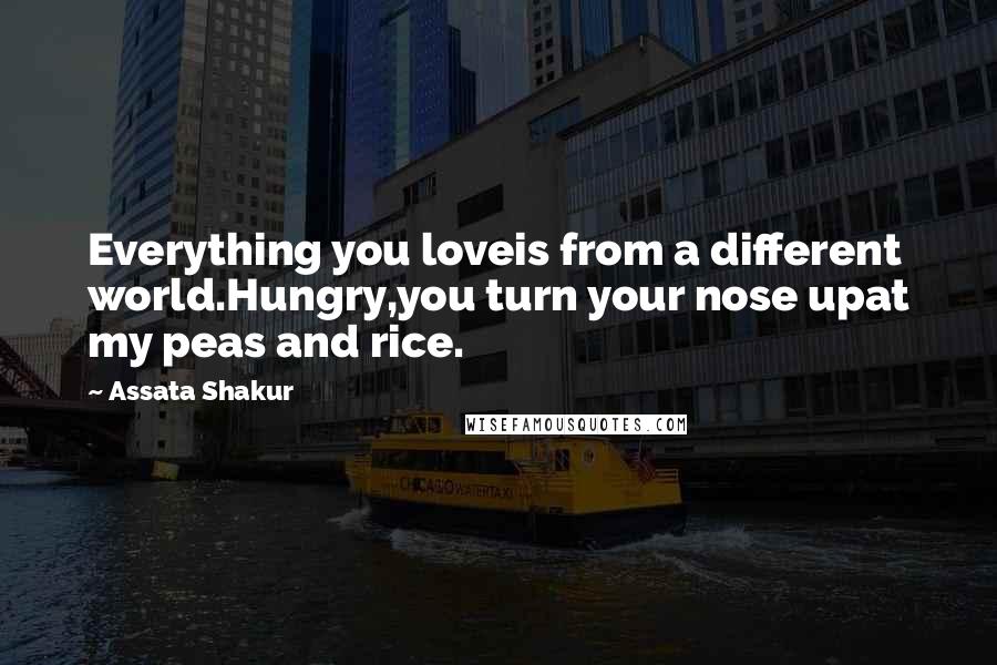 Assata Shakur Quotes: Everything you loveis from a different world.Hungry,you turn your nose upat my peas and rice.