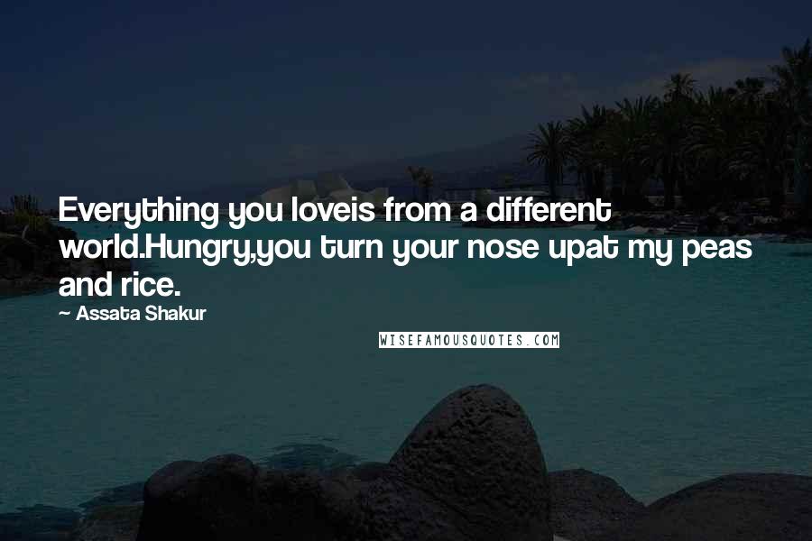 Assata Shakur Quotes: Everything you loveis from a different world.Hungry,you turn your nose upat my peas and rice.