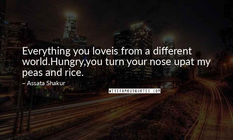 Assata Shakur Quotes: Everything you loveis from a different world.Hungry,you turn your nose upat my peas and rice.