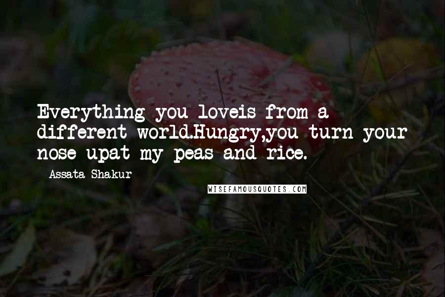 Assata Shakur Quotes: Everything you loveis from a different world.Hungry,you turn your nose upat my peas and rice.