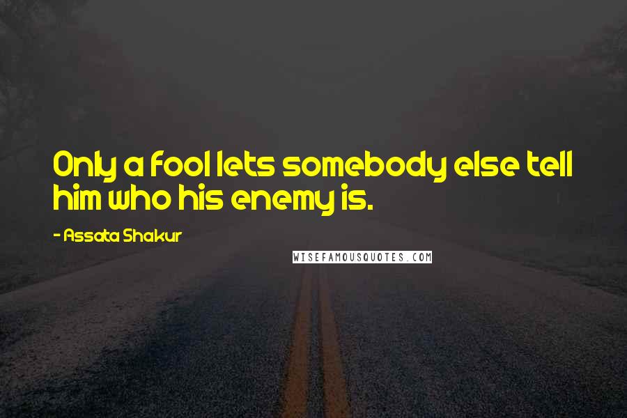 Assata Shakur Quotes: Only a fool lets somebody else tell him who his enemy is.