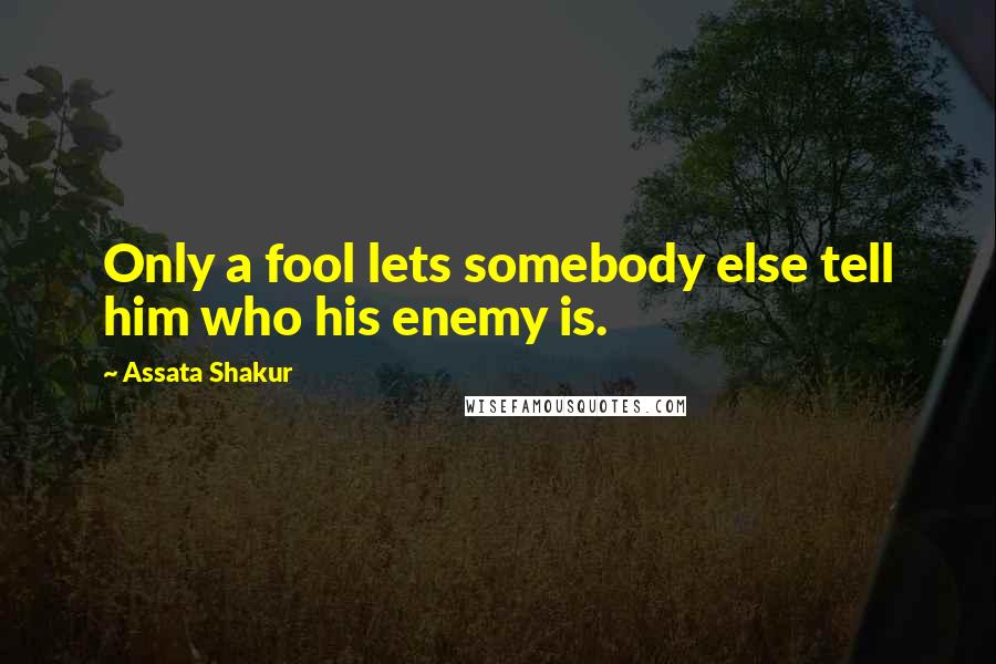 Assata Shakur Quotes: Only a fool lets somebody else tell him who his enemy is.