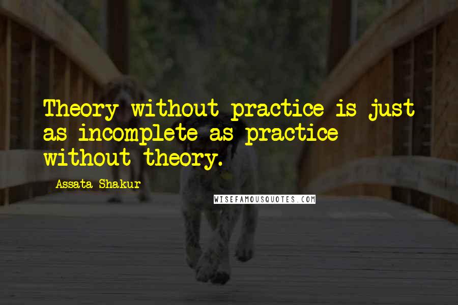 Assata Shakur Quotes: Theory without practice is just as incomplete as practice without theory.