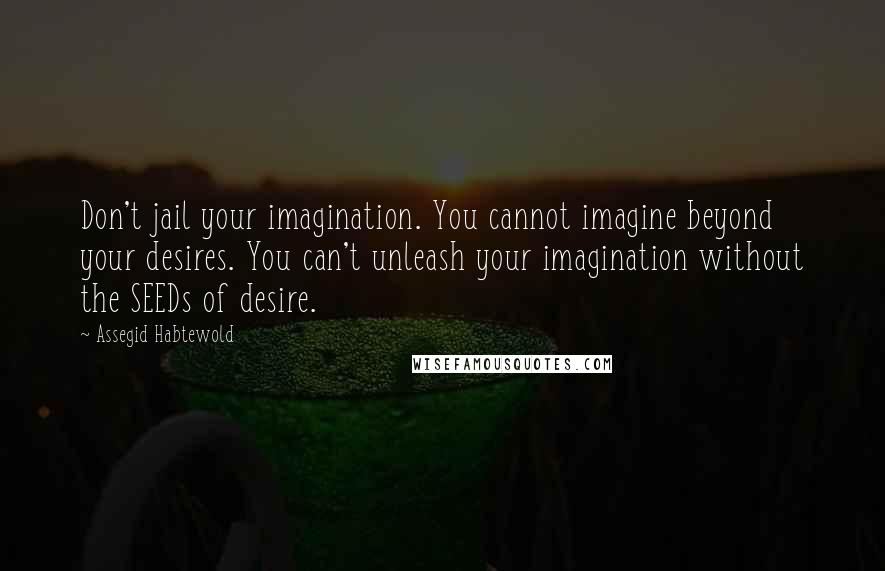 Assegid Habtewold Quotes: Don't jail your imagination. You cannot imagine beyond your desires. You can't unleash your imagination without the SEEDs of desire.