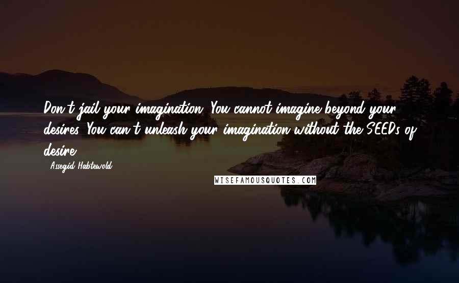 Assegid Habtewold Quotes: Don't jail your imagination. You cannot imagine beyond your desires. You can't unleash your imagination without the SEEDs of desire.