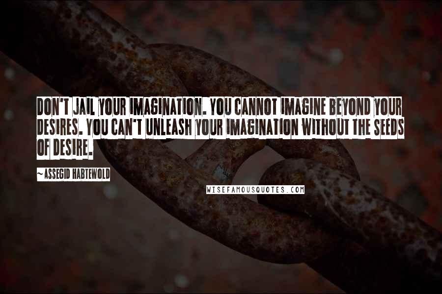 Assegid Habtewold Quotes: Don't jail your imagination. You cannot imagine beyond your desires. You can't unleash your imagination without the SEEDs of desire.