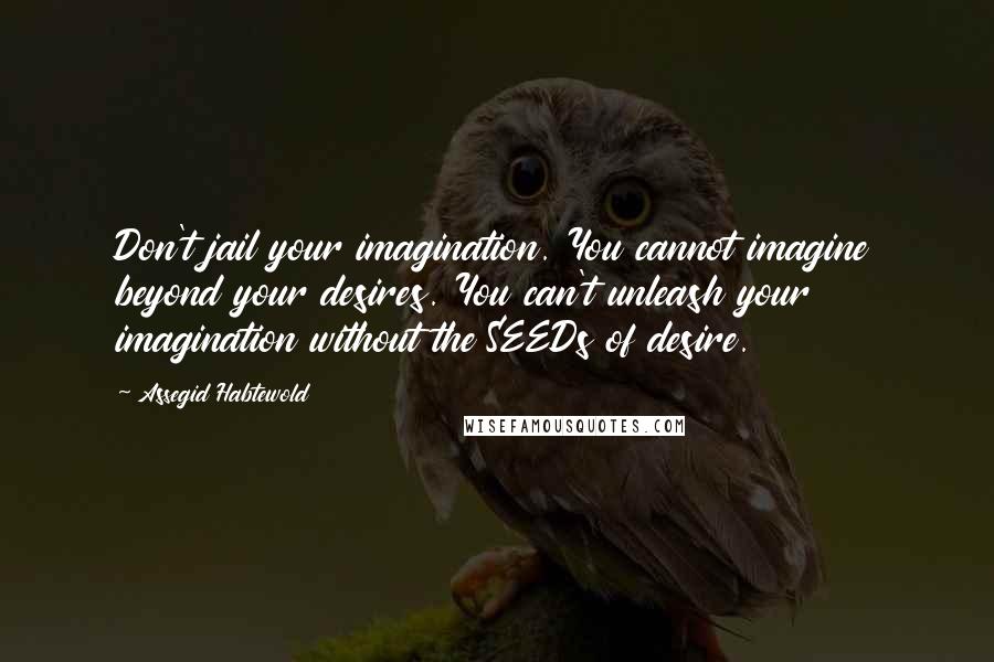 Assegid Habtewold Quotes: Don't jail your imagination. You cannot imagine beyond your desires. You can't unleash your imagination without the SEEDs of desire.