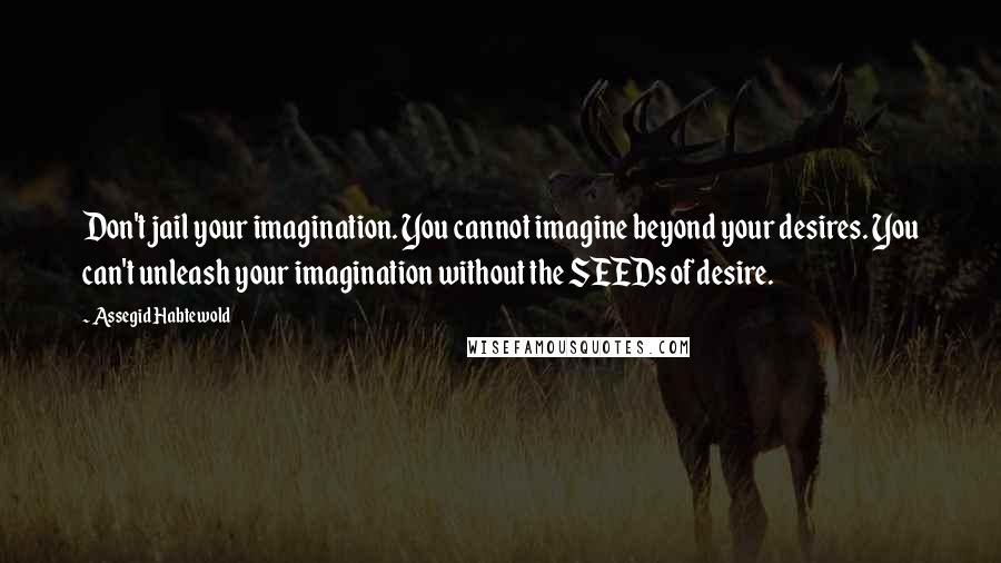 Assegid Habtewold Quotes: Don't jail your imagination. You cannot imagine beyond your desires. You can't unleash your imagination without the SEEDs of desire.