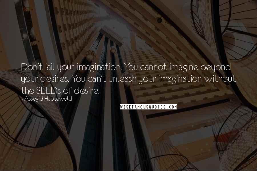 Assegid Habtewold Quotes: Don't jail your imagination. You cannot imagine beyond your desires. You can't unleash your imagination without the SEEDs of desire.