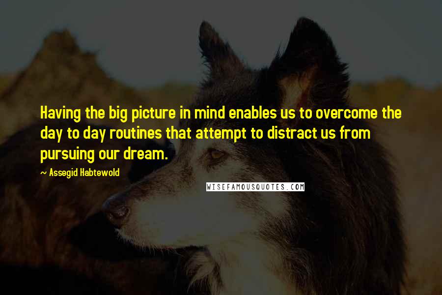 Assegid Habtewold Quotes: Having the big picture in mind enables us to overcome the day to day routines that attempt to distract us from pursuing our dream.