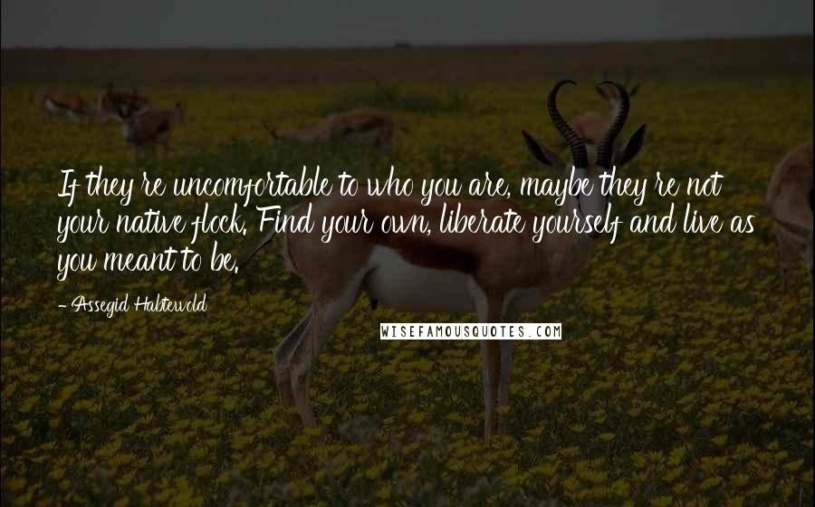 Assegid Habtewold Quotes: If they're uncomfortable to who you are, maybe they're not your native flock. Find your own, liberate yourself and live as you meant to be.