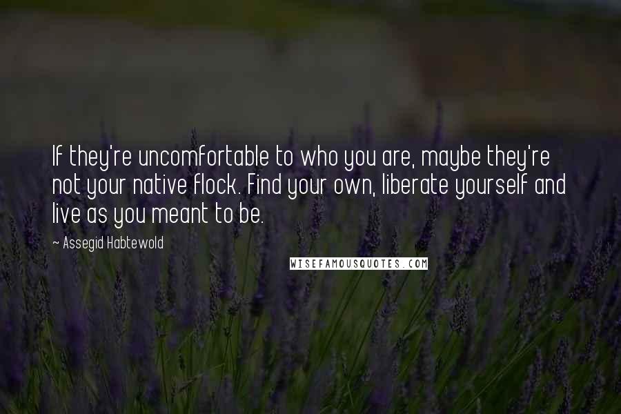 Assegid Habtewold Quotes: If they're uncomfortable to who you are, maybe they're not your native flock. Find your own, liberate yourself and live as you meant to be.