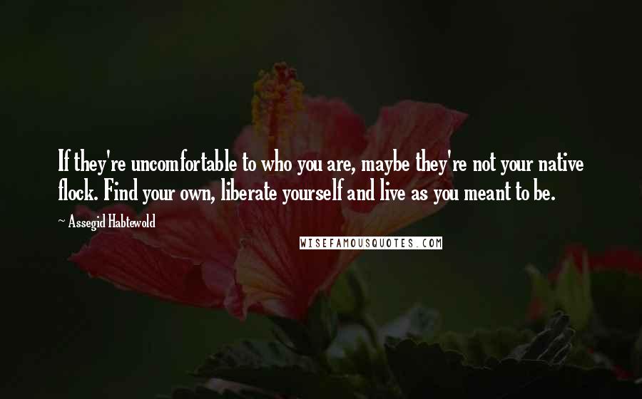 Assegid Habtewold Quotes: If they're uncomfortable to who you are, maybe they're not your native flock. Find your own, liberate yourself and live as you meant to be.