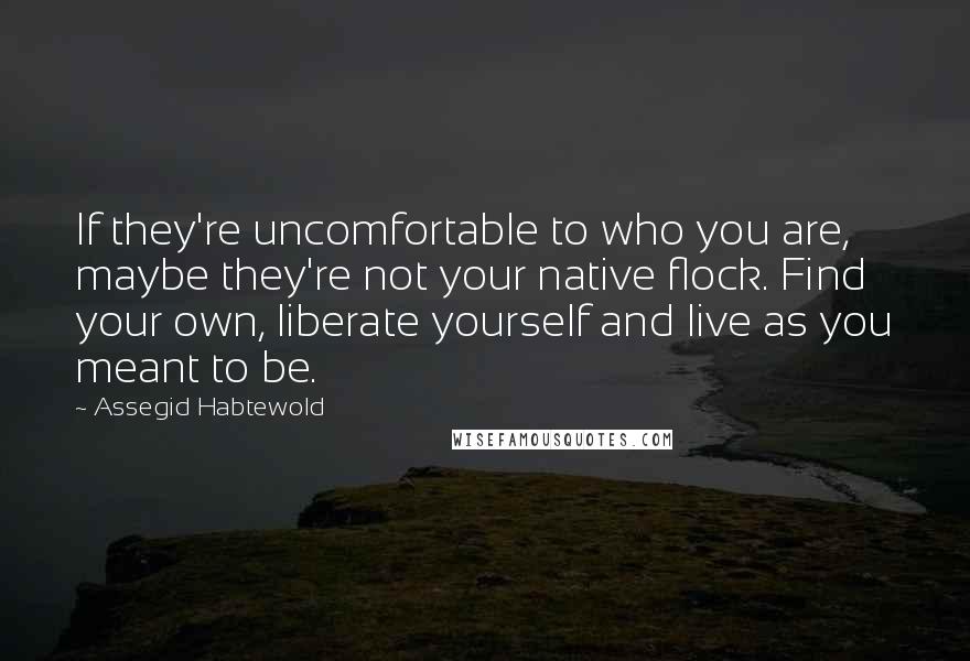 Assegid Habtewold Quotes: If they're uncomfortable to who you are, maybe they're not your native flock. Find your own, liberate yourself and live as you meant to be.