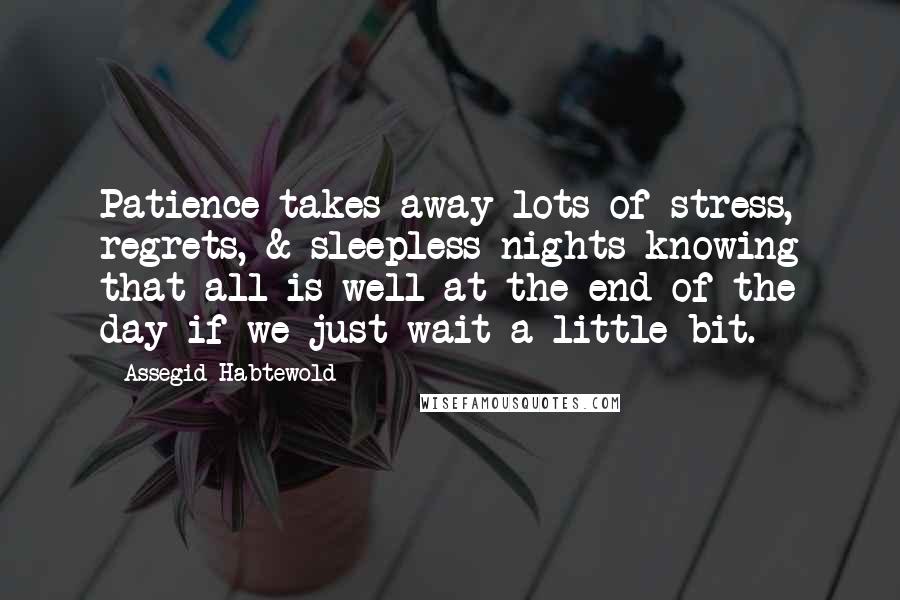 Assegid Habtewold Quotes: Patience takes away lots of stress, regrets, & sleepless nights knowing that all is well at the end of the day if we just wait a little bit.