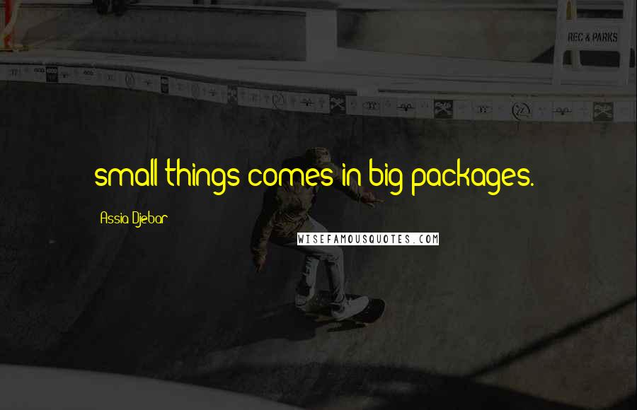 Assia Djebar Quotes: small things comes in big packages.*