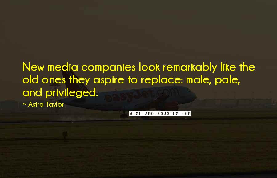 Astra Taylor Quotes: New media companies look remarkably like the old ones they aspire to replace: male, pale, and privileged.