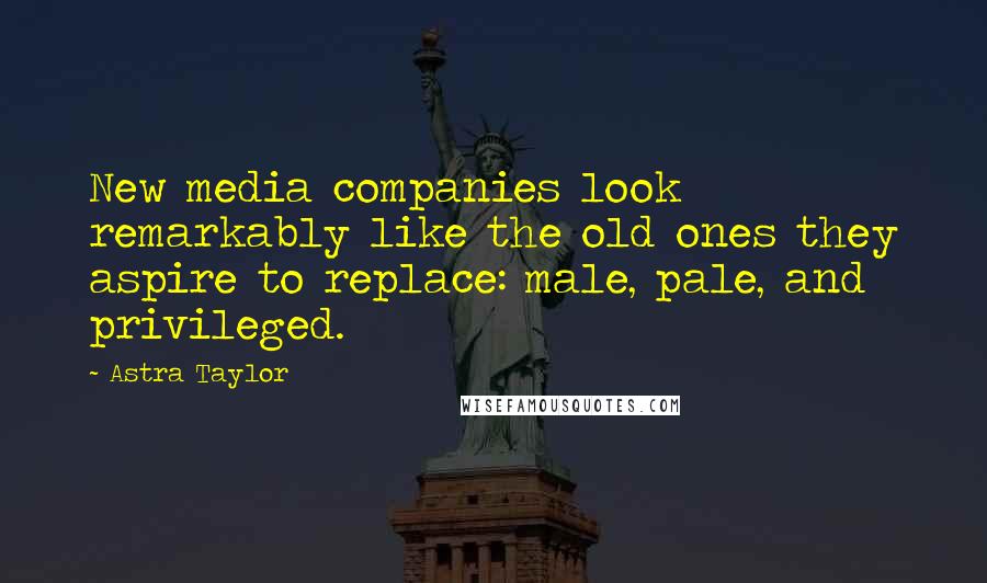 Astra Taylor Quotes: New media companies look remarkably like the old ones they aspire to replace: male, pale, and privileged.