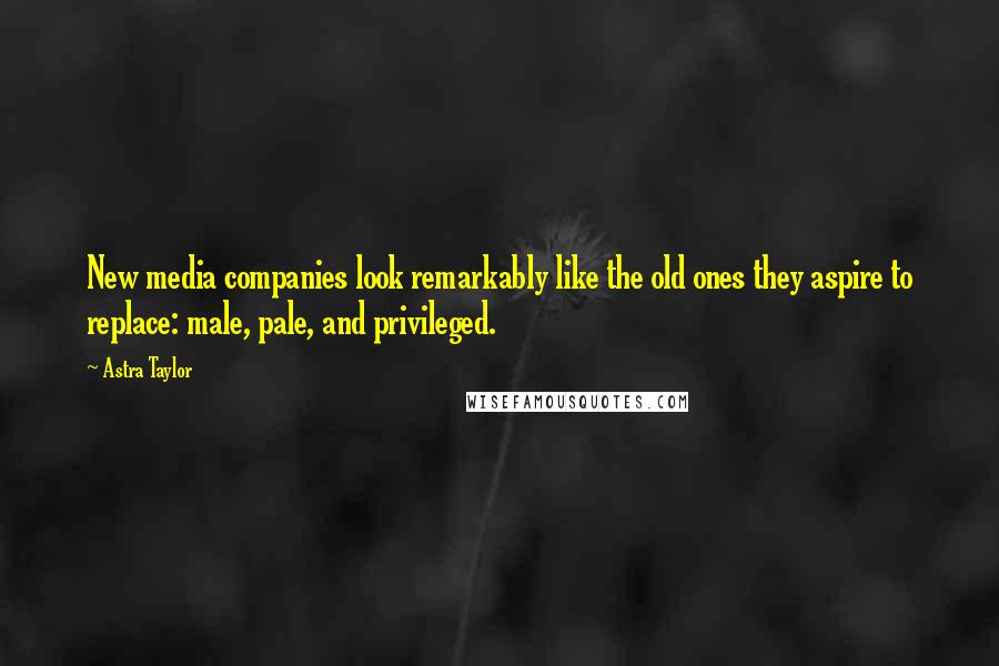 Astra Taylor Quotes: New media companies look remarkably like the old ones they aspire to replace: male, pale, and privileged.