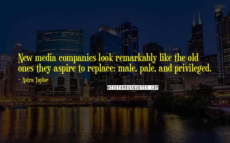 Astra Taylor Quotes: New media companies look remarkably like the old ones they aspire to replace: male, pale, and privileged.