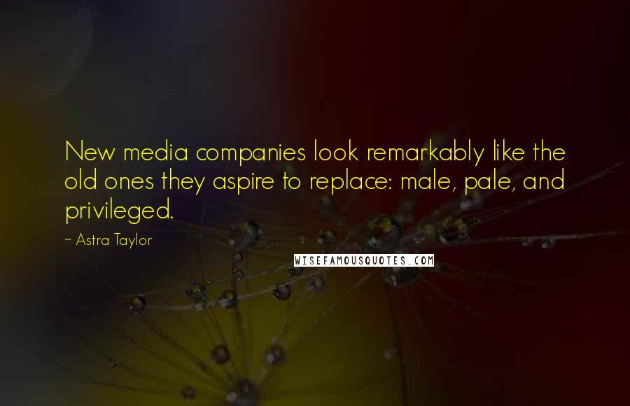 Astra Taylor Quotes: New media companies look remarkably like the old ones they aspire to replace: male, pale, and privileged.